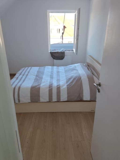 Appartement Sierentz Eksteriør billede